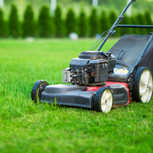 A close-up of a push mower cutting grass.